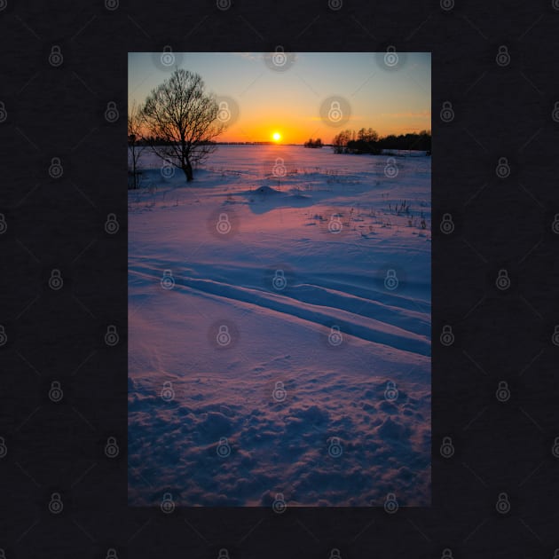 Sunset winter landscape with snow-covered road in violet and pink colors by Olga Berlet